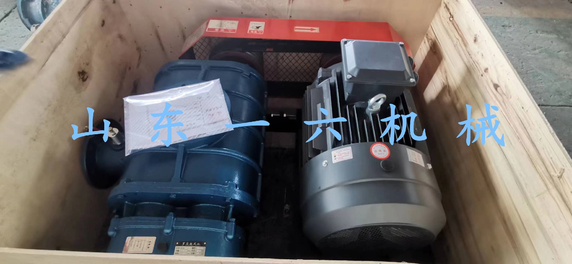 1685090242299866.jpg 1685090242299866.jpg