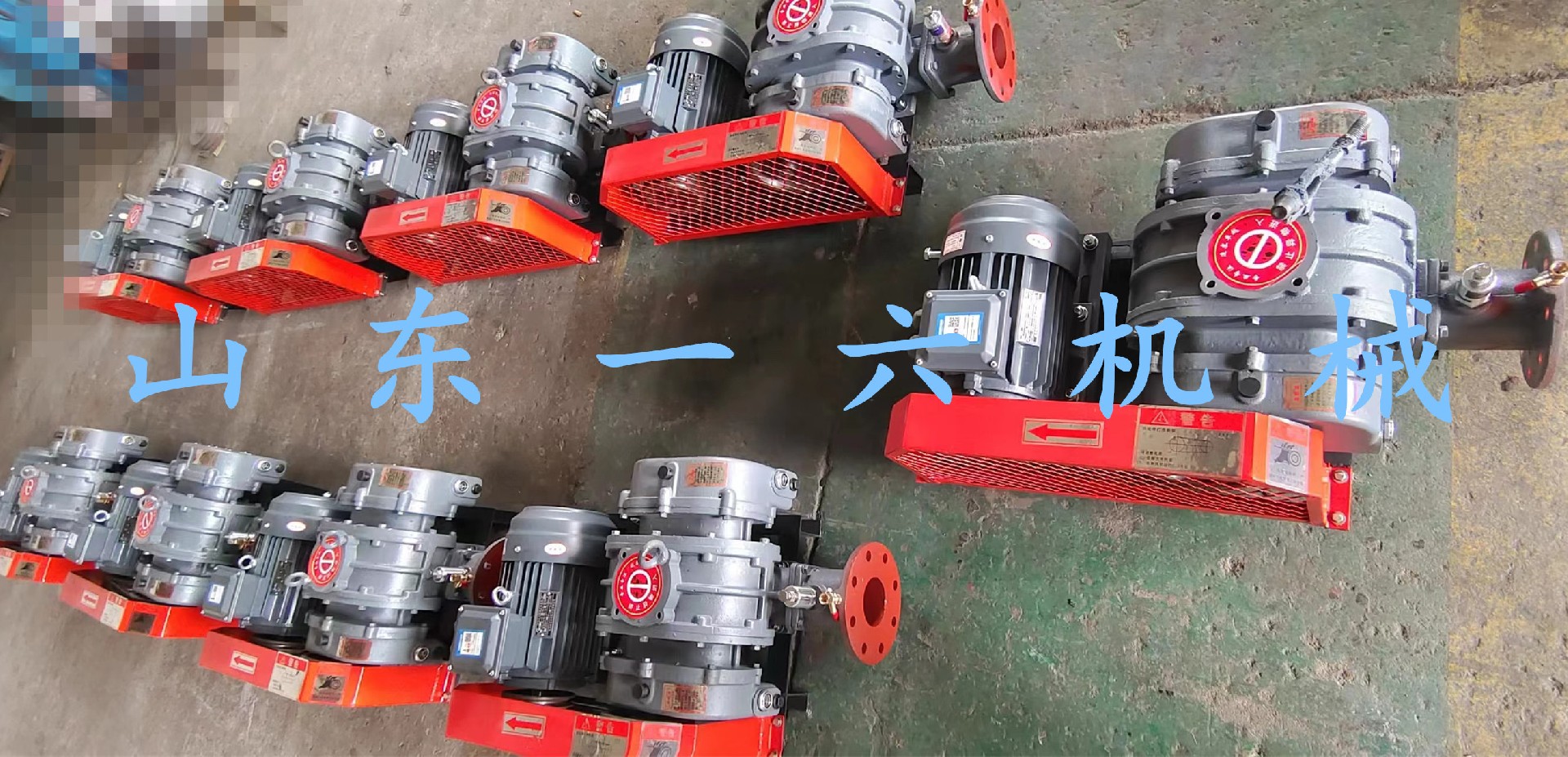 1692155386371695.jpg 1692155386371695.jpg